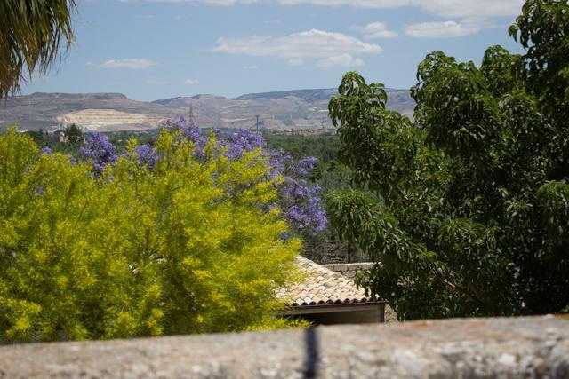 La Fattoria Guest House ชากกา ภายนอก รูปภาพ