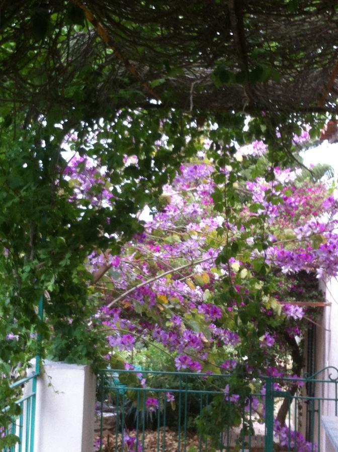 La Fattoria Guest House ชากกา ภายนอก รูปภาพ