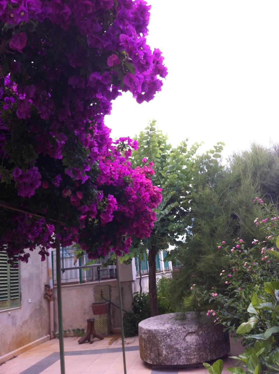 La Fattoria Guest House ชากกา ภายนอก รูปภาพ