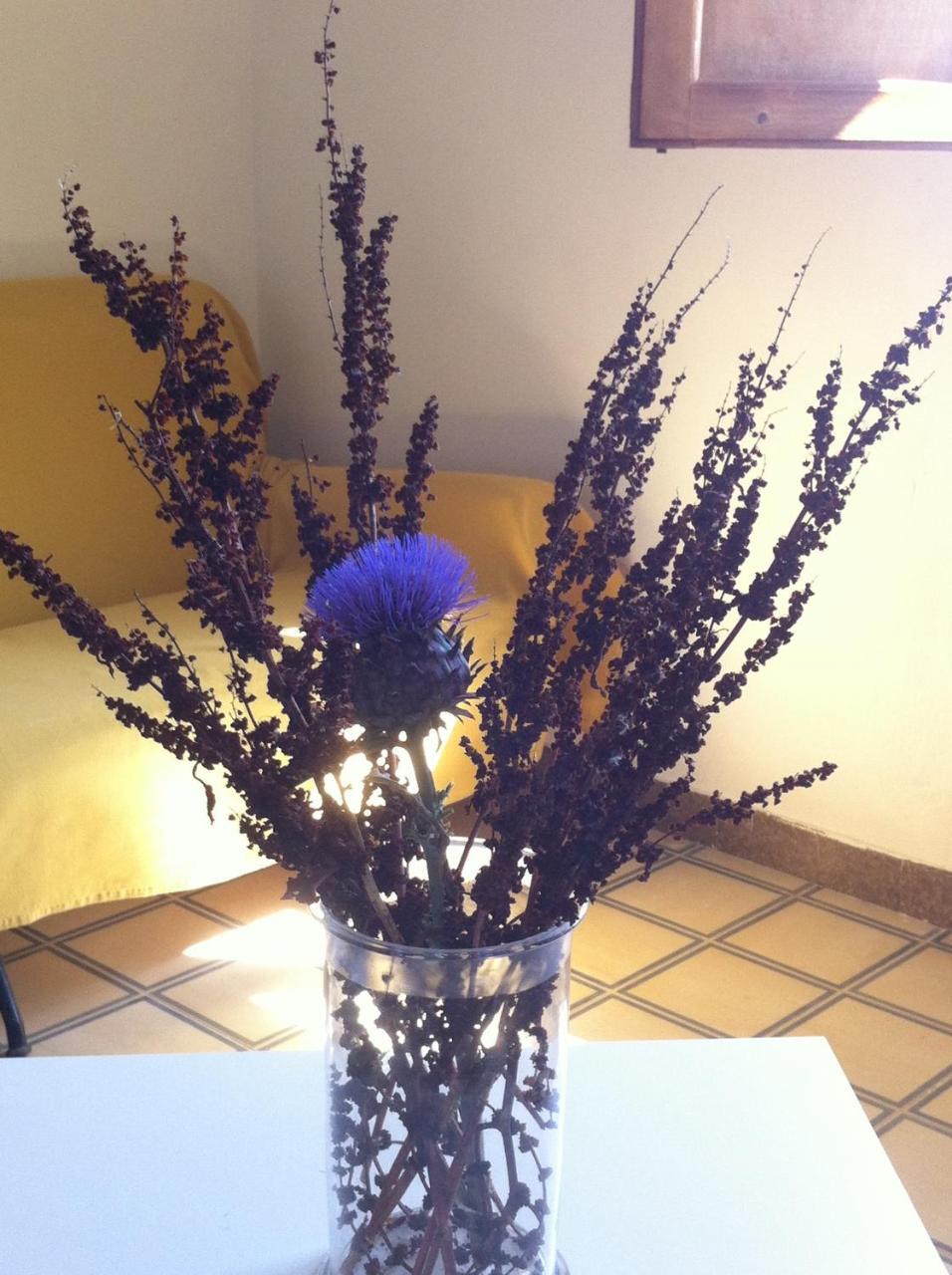 La Fattoria Guest House ชากกา ภายนอก รูปภาพ