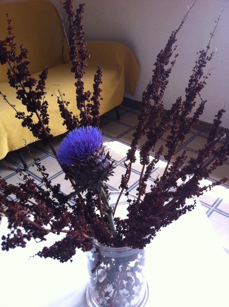 La Fattoria Guest House ชากกา ภายนอก รูปภาพ